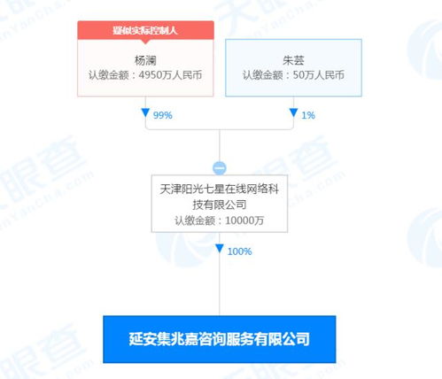 楊瀾新公司業(yè)務擴展 新能源汽車銷售與信息系統(tǒng)集成服務